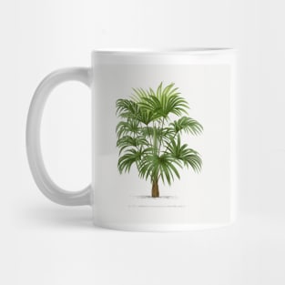 8 Les Palmiers Histoire Mug